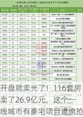 开盘就卖光了！116套房卖了26.9亿元，这个一线城市有豪宅项目遭疯抢