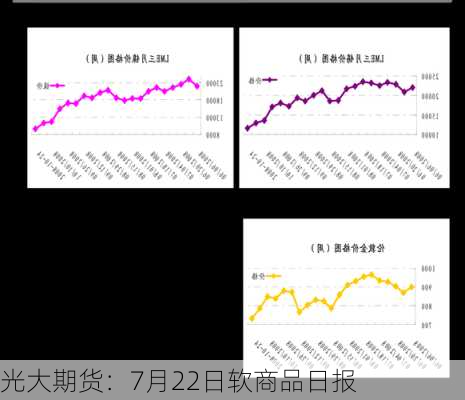 光大期货：7月22日软商品日报