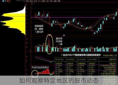 如何观察特定地区的股市动态