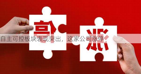 自主可控板块表现突出，这家公司涨停