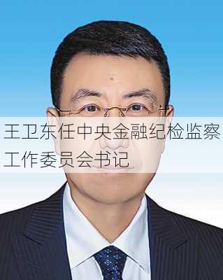 王卫东任中央金融纪检监察工作委员会书记