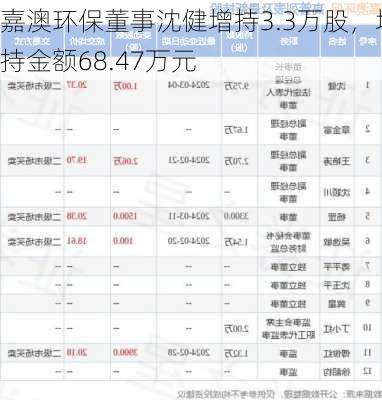 嘉澳环保董事沈健增持3.3万股，增持金额68.47万元