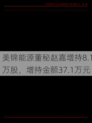 美锦能源董秘赵嘉增持8.1万股，增持金额37.1万元