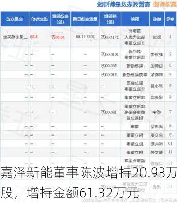 嘉泽新能董事陈波增持20.93万股，增持金额61.32万元