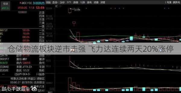 仓储物流板块逆市走强 飞力达连续两天20%涨停