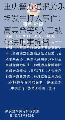 重庆警方通报游乐场发生打人事件：高某希等5人已被依法刑事拘留