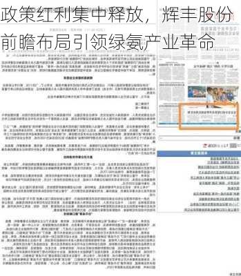 政策红利集中释放，辉丰股份前瞻布局引领绿氨产业革命