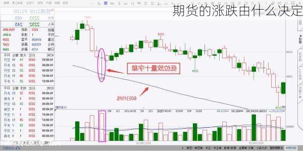 期货的涨跌由什么决定