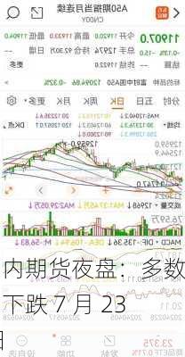 国内期货夜盘：多数品种下跌 7 月 23 日