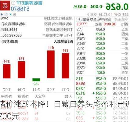 猪价涨成本降！自繁自养头均盈利已近700元