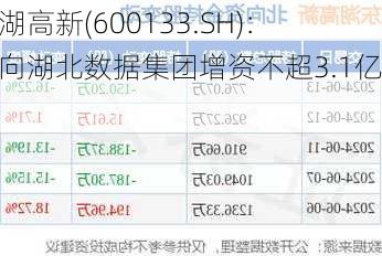 东湖高新(600133.SH)：拟向湖北数据集团增资不超3.1亿元