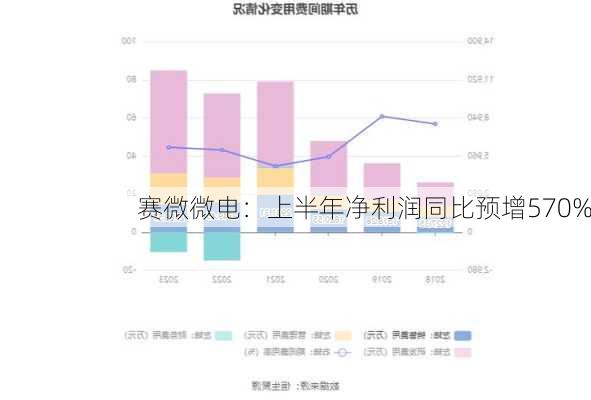 赛微微电：上半年净利润同比预增570%