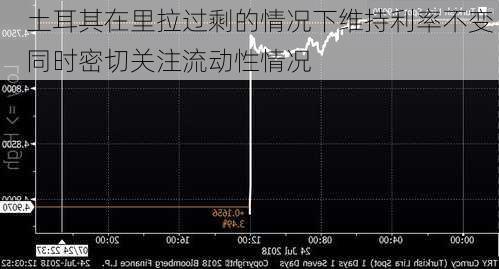 土耳其在里拉过剩的情况下维持利率不变 同时密切关注流动性情况