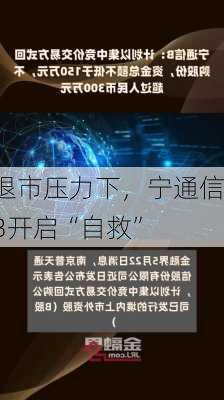 退市压力下，宁通信B开启“自救”