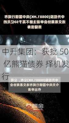 中升集团：获批 50 亿熊猫债券 择机发行