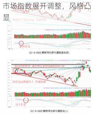 市场指数展开调整，风格凸显