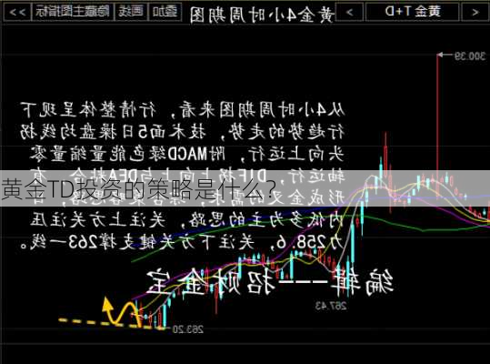 黄金TD投资的策略是什么？