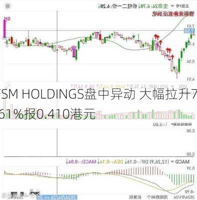 FSM HOLDINGS盘中异动 大幅拉升7.61%报0.410港元