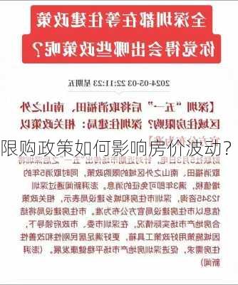 限购政策如何影响房价波动？