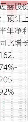 迈赫股份：预计上半年净利同比增长162.74%-205.92%