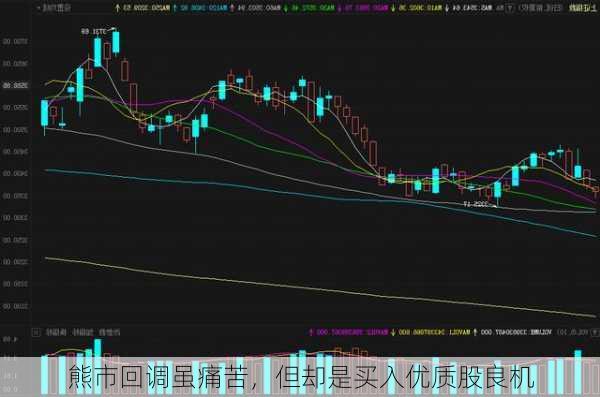 熊市回调虽痛苦，但却是买入优质股良机