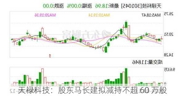 天禄科技：股东马长建拟减持不超 60 万股