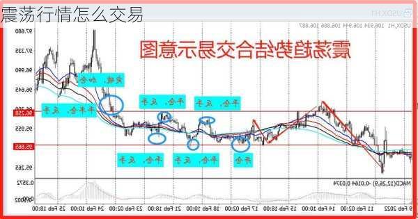 震荡行情怎么交易