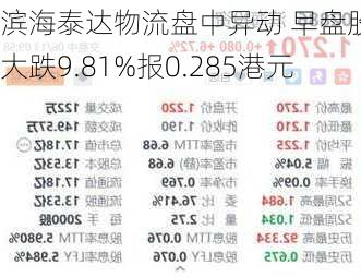 滨海泰达物流盘中异动 早盘股价大跌9.81%报0.285港元