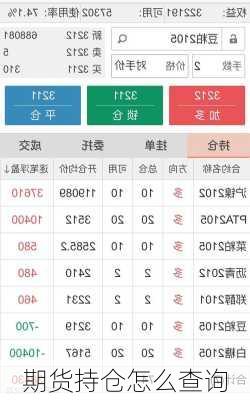 期货持仓怎么查询