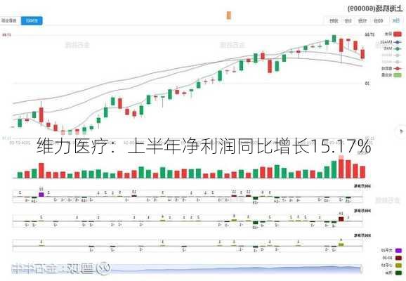 维力医疗：上半年净利润同比增长15.17%