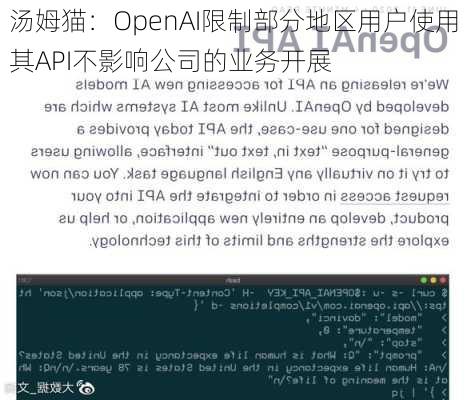 汤姆猫：OpenAI限制部分地区用户使用其API不影响公司的业务开展