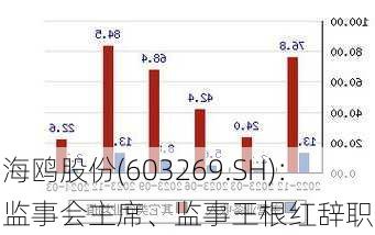 海鸥股份(603269.SH)：监事会主席、监事王根红辞职