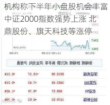 机构称下半年小盘股机会丰富 中证2000指数强势上涨 北鼎股份、旗天科技等涨停