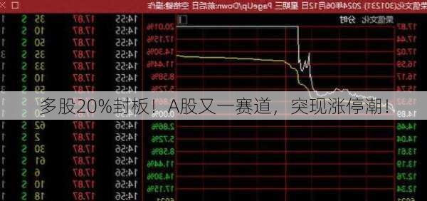 多股20%封板！A股又一赛道，突现涨停潮！