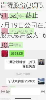 肯特股份(301591.SZ)：截止7月19日公司在册股东总户数为16530户