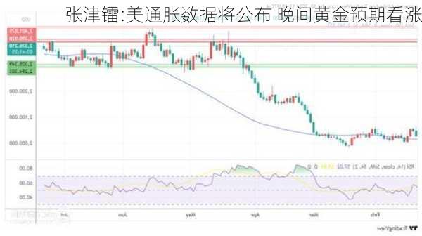 张津镭:美通胀数据将公布 晚间黄金预期看涨