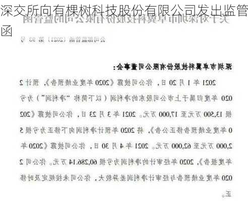 深交所向有棵树科技股份有限公司发出监管函