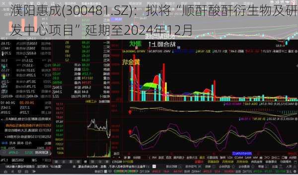 濮阳惠成(300481.SZ)：拟将“顺酐酸酐衍生物及研发中心项目”延期至2024年12月