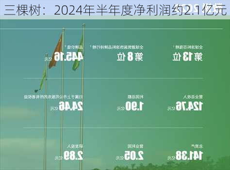 三棵树：2024年半年度净利润约2.1亿元