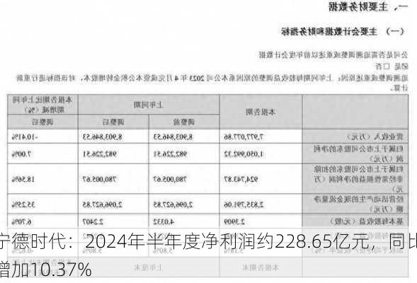 宁德时代：2024年半年度净利润约228.65亿元，同比增加10.37%