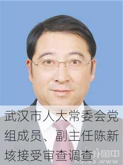 武汉市人大常委会党组成员、副主任陈新垓接受审查调查