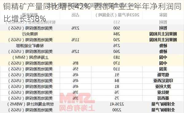 铜精矿产量同比增长42%  西部矿业上半年净利润同比增长约8%