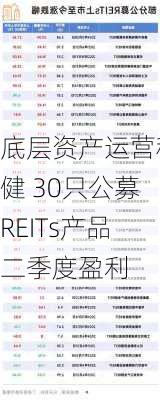 底层资产运营稳健 30只公募REITs产品二季度盈利