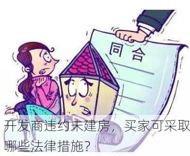 开发商违约未建房，买家可采取哪些法律措施？