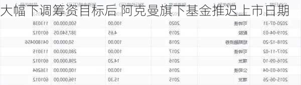 大幅下调筹资目标后 阿克曼旗下基金推迟上市日期