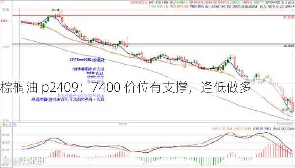 棕榈油 p2409：7400 价位有支撑，逢低做多