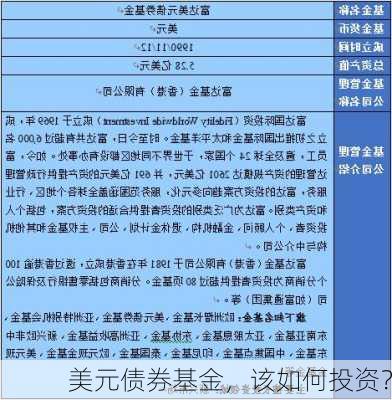 美元债券基金，该如何投资？