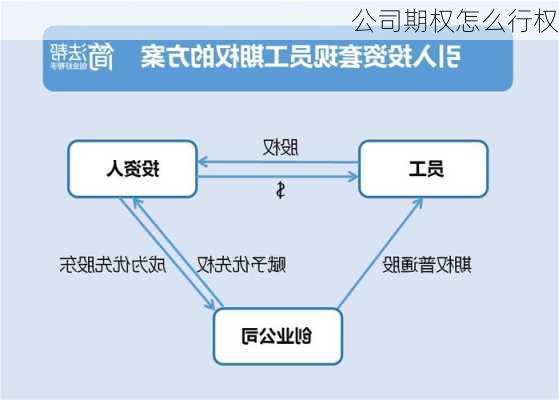 公司期权怎么行权