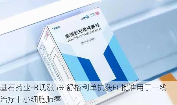 基石药业-B现涨5% 舒格利单抗获EC批准用于一线治疗非小细胞肺癌