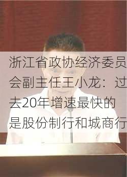 浙江省政协经济委员会副主任王小龙：过去20年增速最快的是股份制行和城商行